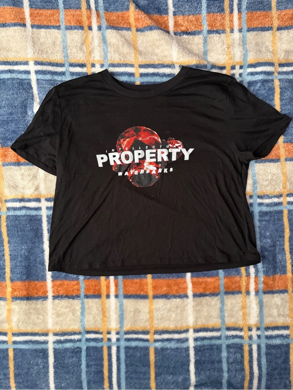 ORIGINAL Waterparks band merch